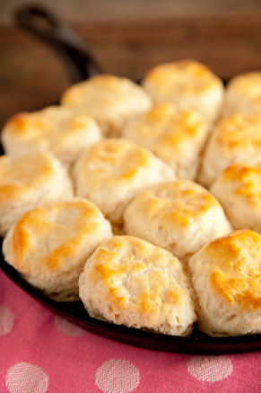 Southern Biscuits Recipe